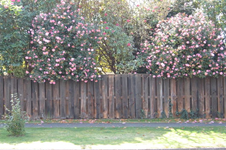 Photo of property in 23 Sophia Street, Glenholme, Rotorua, 3010