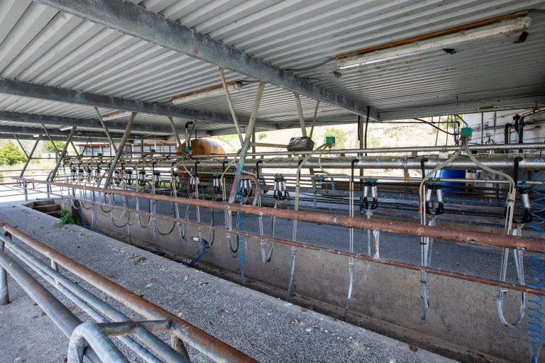 Photo of property in 95 Mason Road, Maromaku, Kawakawa, 0281