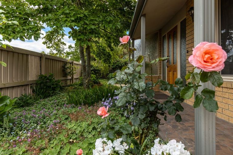 Photo of property in 12 Andrew Street, Blenheim, 7201