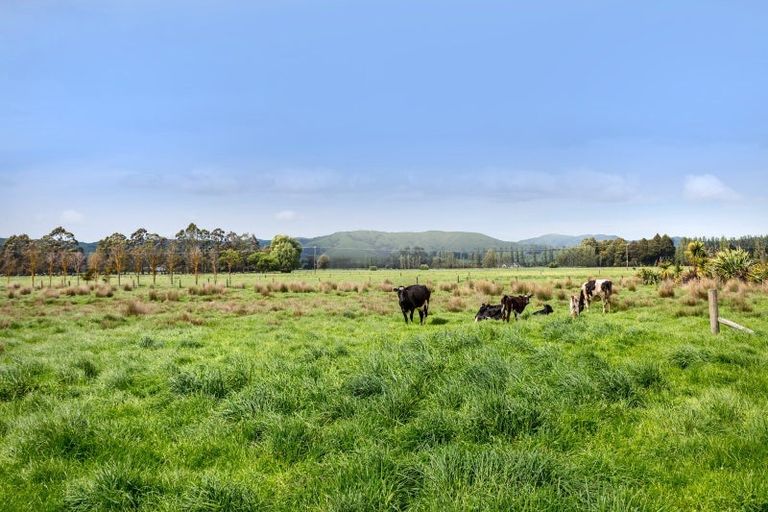 Photo of property in 123 Battersea Road, Morison Bush, Greytown, 5794