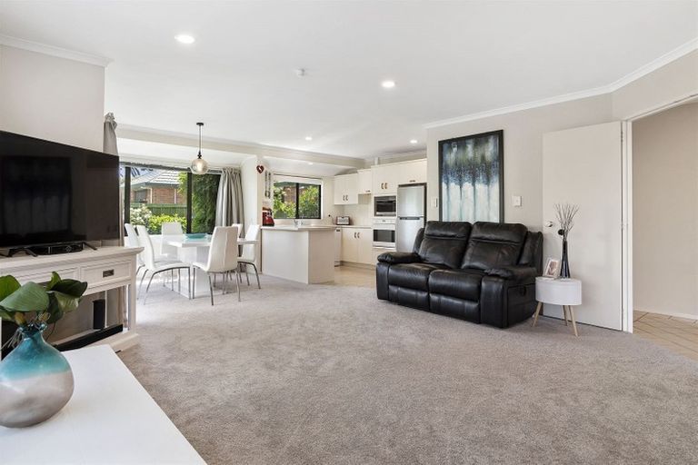 Photo of property in 169c Maungatapu Road, Maungatapu, Tauranga, 3112