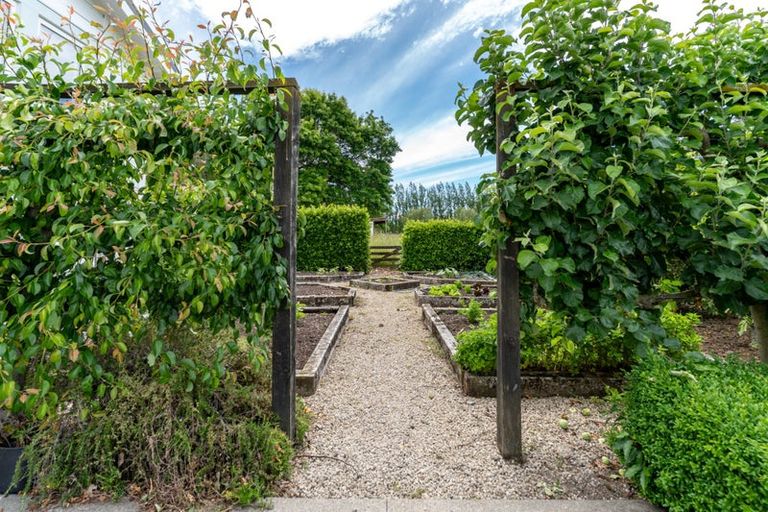 Photo of property in 231 Masterton Castlepoint Road, Te Ore Ore, Masterton, 5886