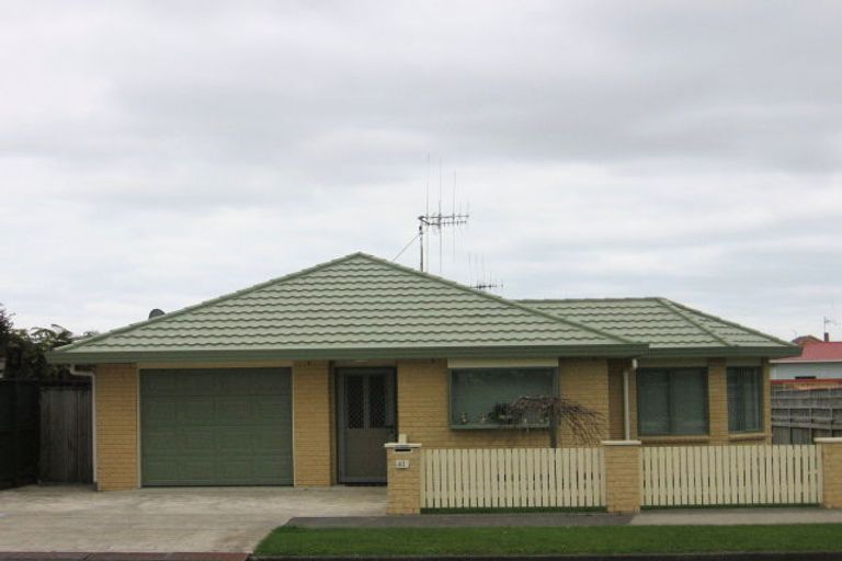 Photo of property in 41 Weraroa Road, Levin, 5510