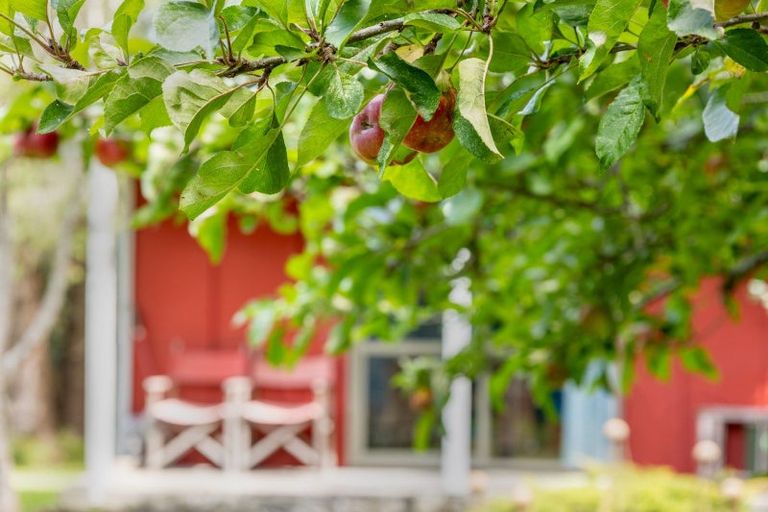 Photo of property in 100 Leinster Avenue, Raumati South, Paraparaumu, 5032