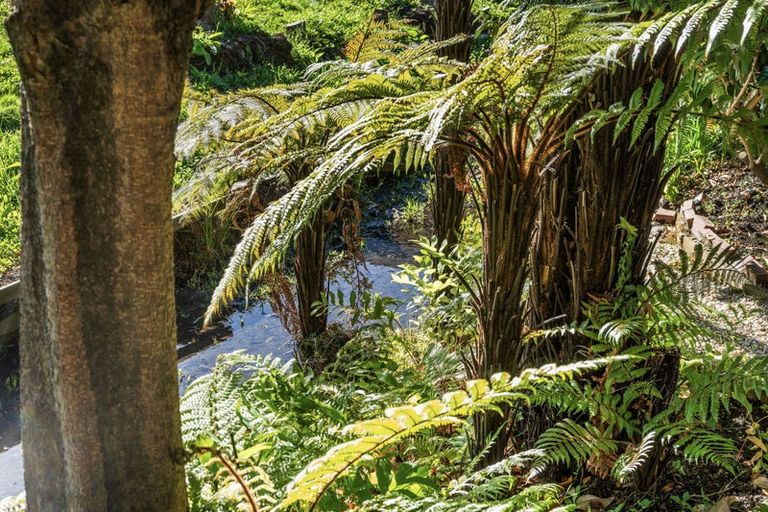 Photo of property in 16a Highgate Avenue, Merivale, Christchurch, 8014