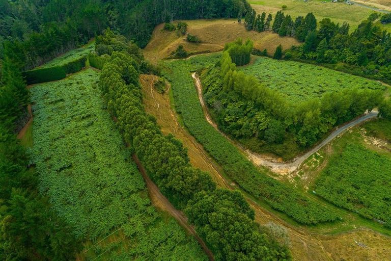 Photo of property in 866 No 2 Road, Te Ranga, Te Puke, 3182