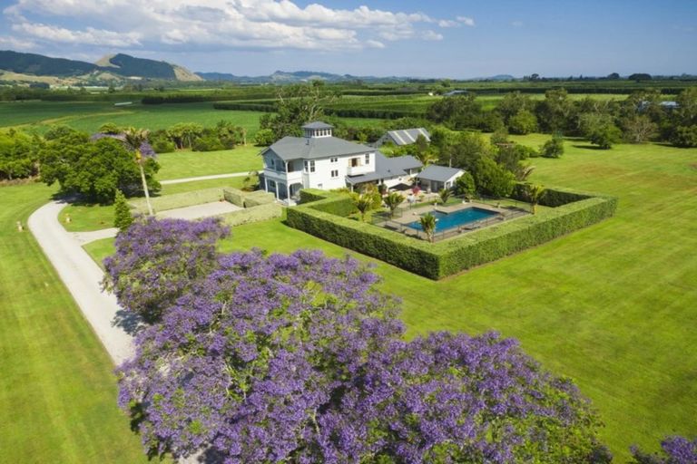 Photo of property in 820 Matawai Road, Waerengaahika, Gisborne, 4071