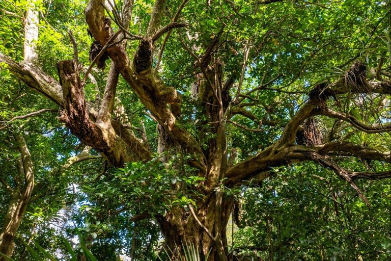 Photo of property in 915 State Highway 14, Maungatapere, Whangarei, 0179