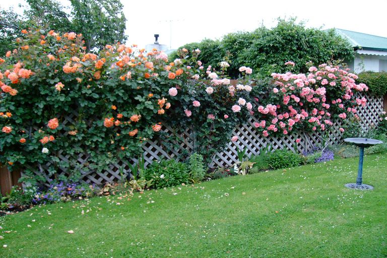 Photo of property in 28a Killarney Street, Waitati, 9085