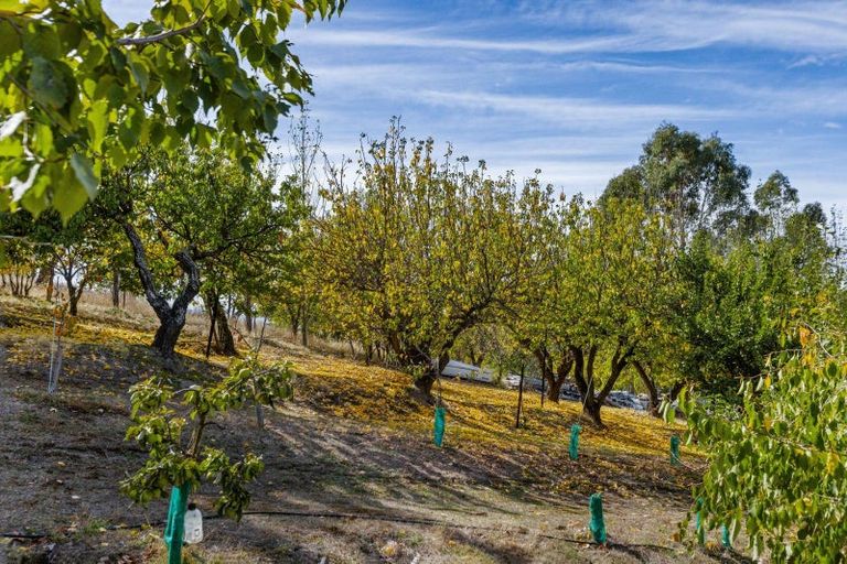 Photo of property in 41 Manuherikia Road, Alexandra, 9320