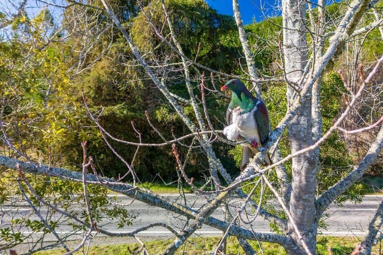 Photo of property in 2215 Wakefield-kohatu Highway, Kohatu, Wakefield, 7096