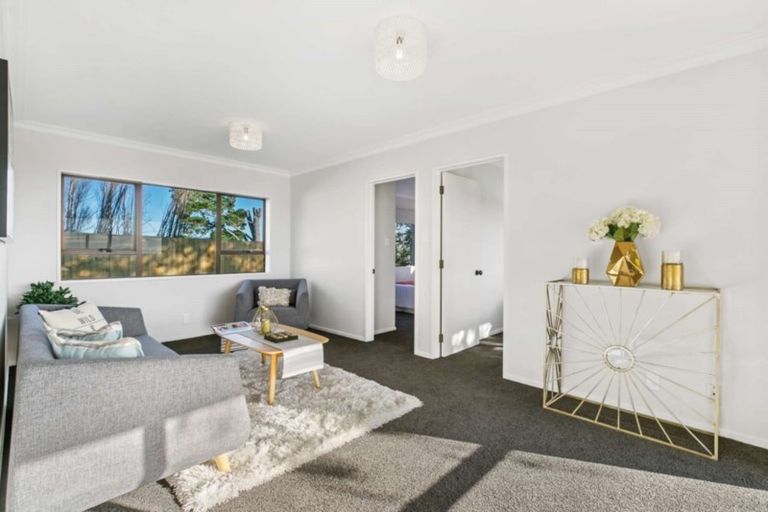 Photo of property in 157 Esdaile Road, Whakamarama, Tauranga, 3180