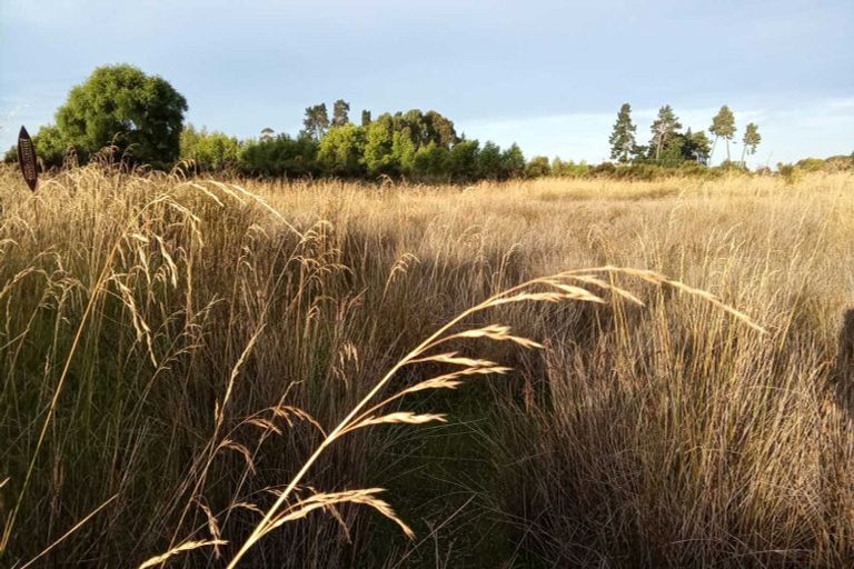 Photo of property in 126 Aranui Road, Mapua, 7005