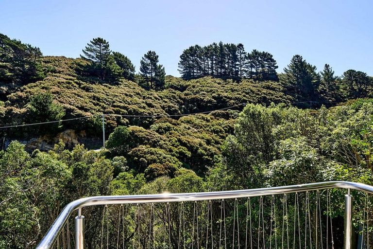 Photo of property in 101 Cluny Road, Plimmerton, Porirua, 5026