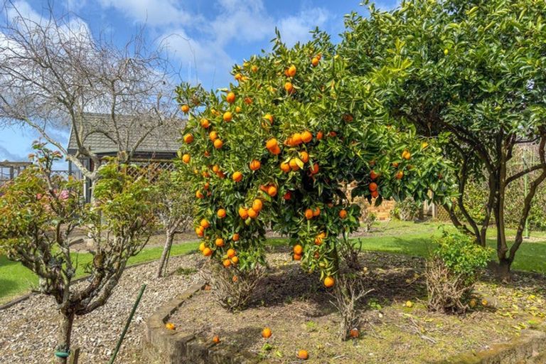 Photo of property in 48 Tower Road, Matamata, 3400