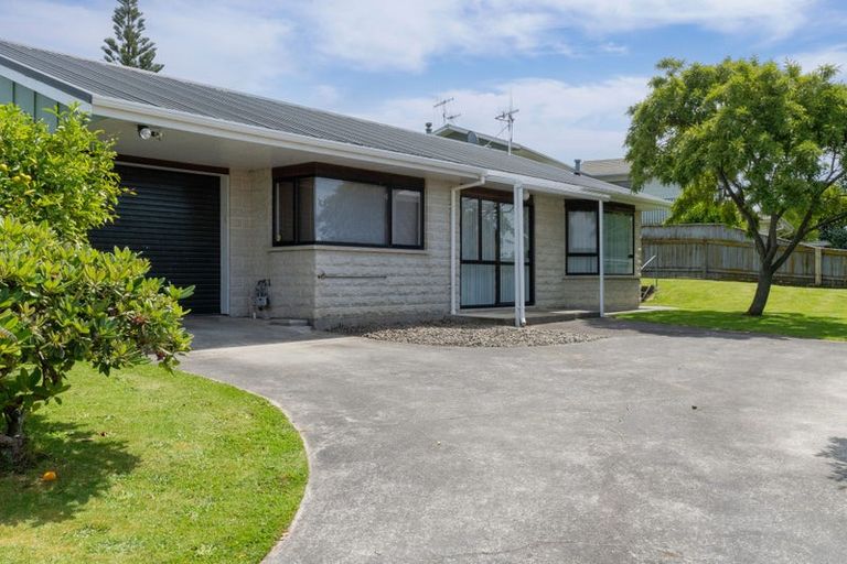 Photo of property in 125 Winchester Street, Levin, 5510