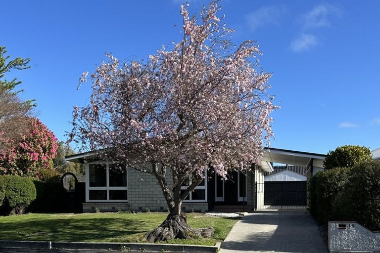 Photo of property in 19 Talltree Avenue, Avonhead, Christchurch, 8042