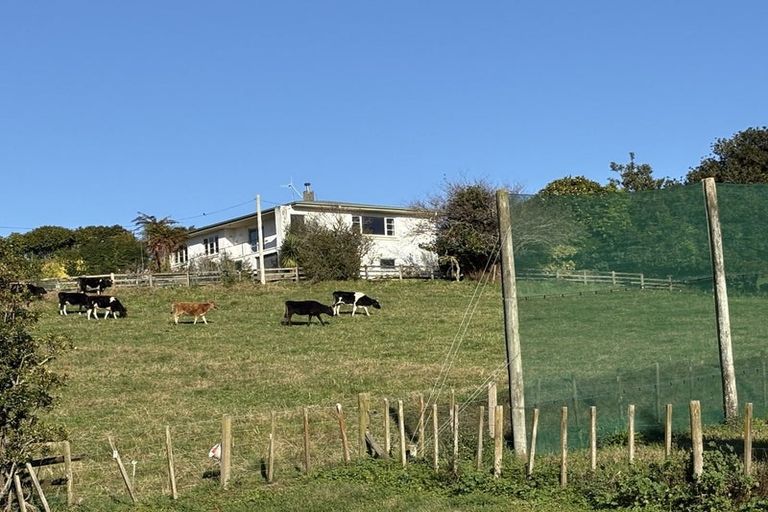 Photo of property in 17 Hyde Street, Katikati, 3129