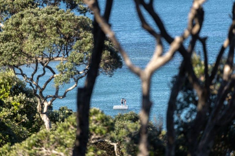 Photo of property in 41 Beach Road, Castor Bay, Auckland, 0620