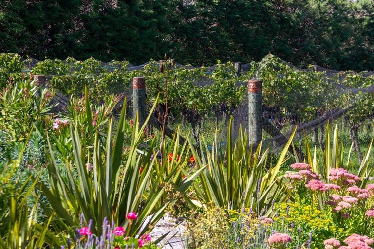 Photo of property in 190 Regent Street, Martinborough, 5711