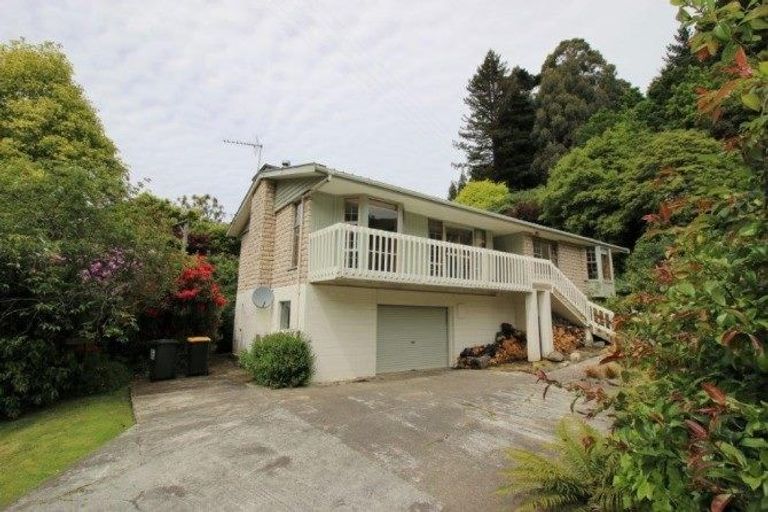 Photo of property in 383 Malvern Street, Glenleith, Dunedin, 9010