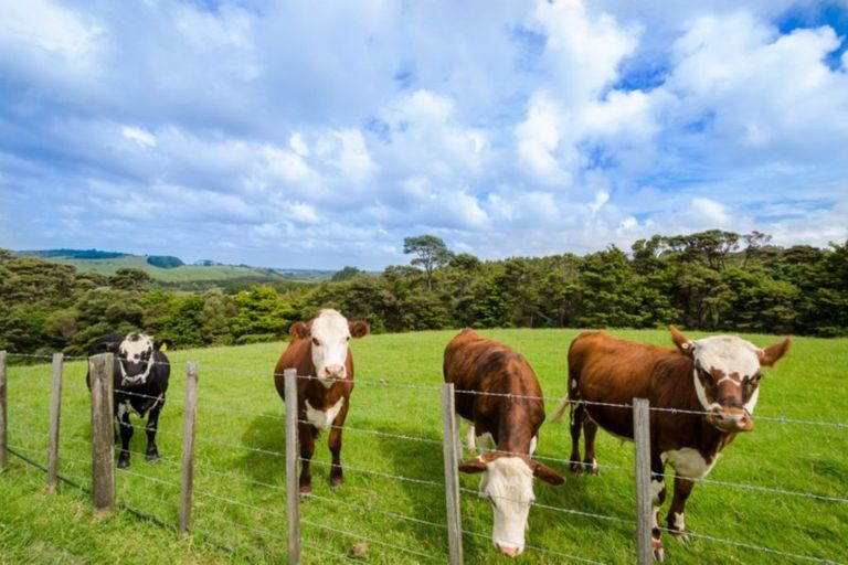 Photo of property in 186b Taylor Road, Waimauku, 0882