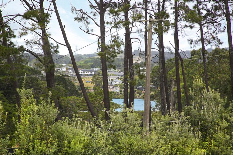 Photo of property in 117 Barrett Road, Riverhead, Albany, 0793