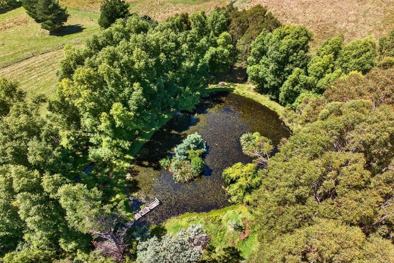 Photo of property in 869 Norfolk Road, Upper Plain, Carterton, 5791