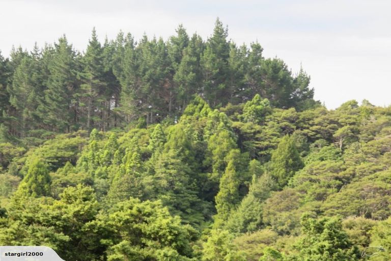 Photo of property in 137 Mcdonnell Road, Mangapai, Whangarei, 0178