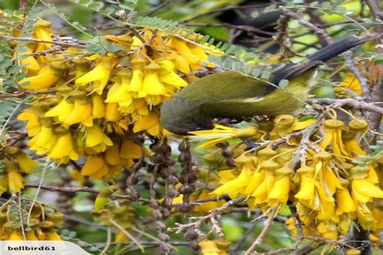 Photo of property in 12 Matai Place, Waikawa, Picton, 7220