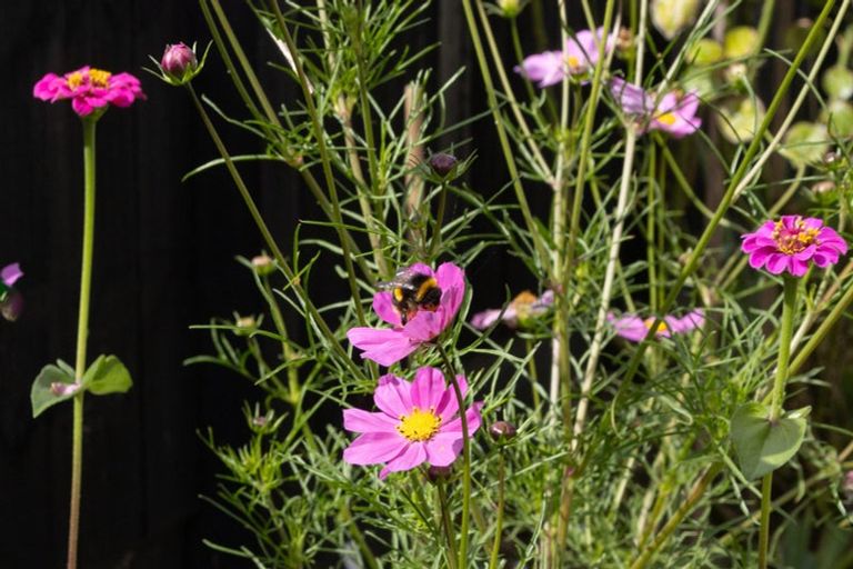 Photo of property in 6 Matau Close, Te Kauwhata, 3710