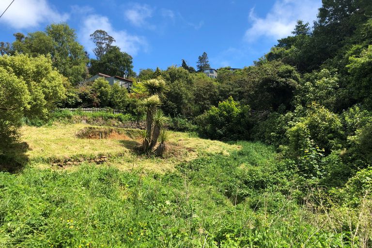 Photo of property in 24 Coombe Hay Terrace, Careys Bay, Port Chalmers, 9023