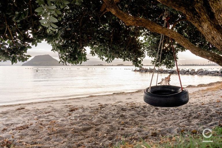 Photo of property in 81b Kulim Avenue, Otumoetai, Tauranga, 3110