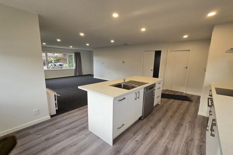 Photo of property in 14 Warren Kelly Street, Richmond, 7020