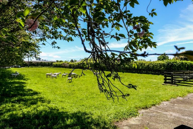 Photo of property in 200 Dorset Road, Hillsborough, New Plymouth, 4372