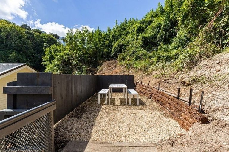 Photo of property in Trinity Newman, 56 Adams Terrace, Aro Valley, Wellington, 6021