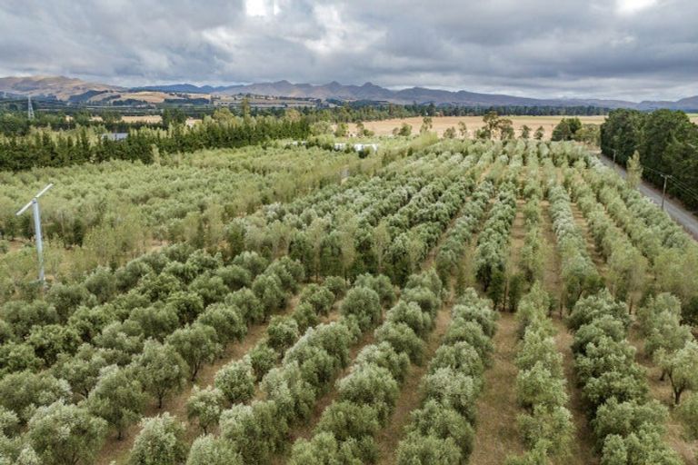 Photo of property in 179 Racecourse Road, Amberley, 7482