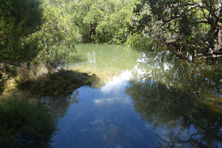 Photo of property in 329 Wharau Road, Kerikeri, 0293