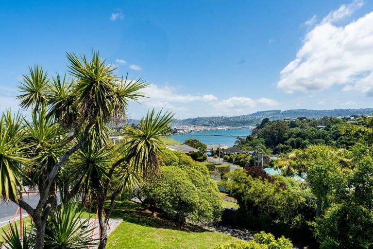 Photo of property in 7 Kinvig Street, Andersons Bay, Dunedin, 9013