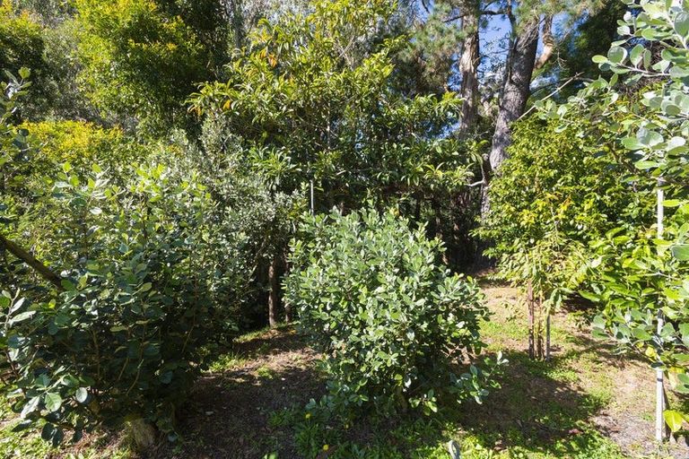 Photo of property in 38 Wallis Road, Kaiti, Gisborne, 4010