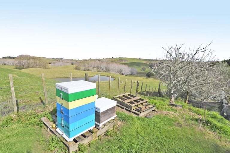 Photo of property in 301 Ranganui Road, Kaiwaka, 0573