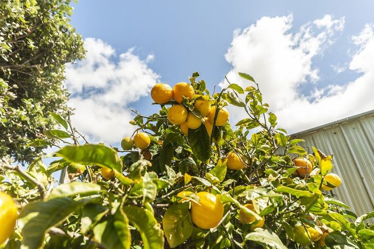 Photo of property in 8 Torridon Road, Miramar, Wellington, 6022