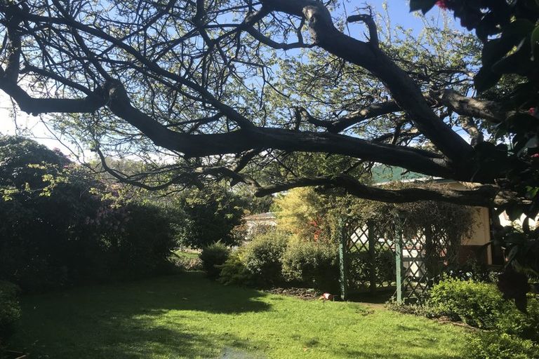 Photo of property in 38 Venus Street, Georgetown, Invercargill, 9812