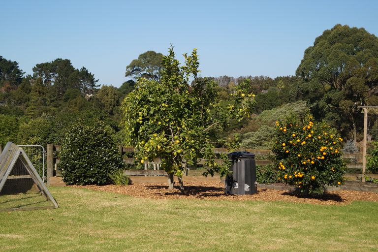 Photo of property in 167 Wymer Road, Glenbrook, Waiuku, 2681