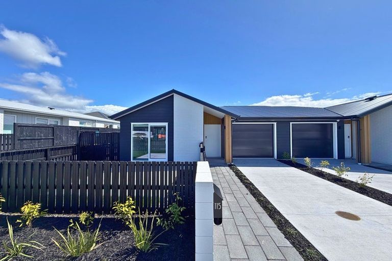 Photo of property in 115 Dunlop Road, Te Puke, 3183