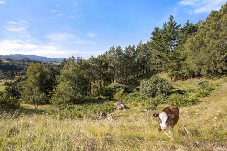 Photo of property in 530 Wright Road, Aongatete, Katikati, 3181