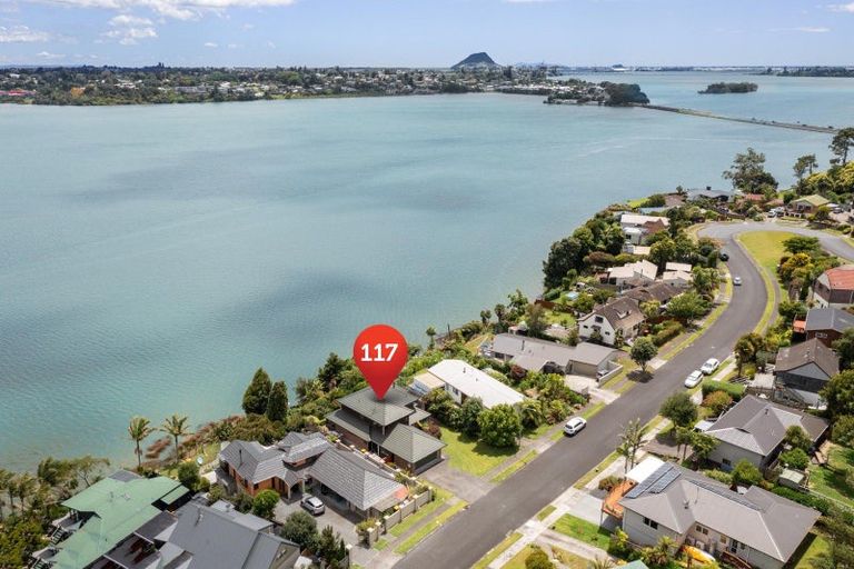 Photo of property in 117 Haukore Street, Hairini, Tauranga, 3112