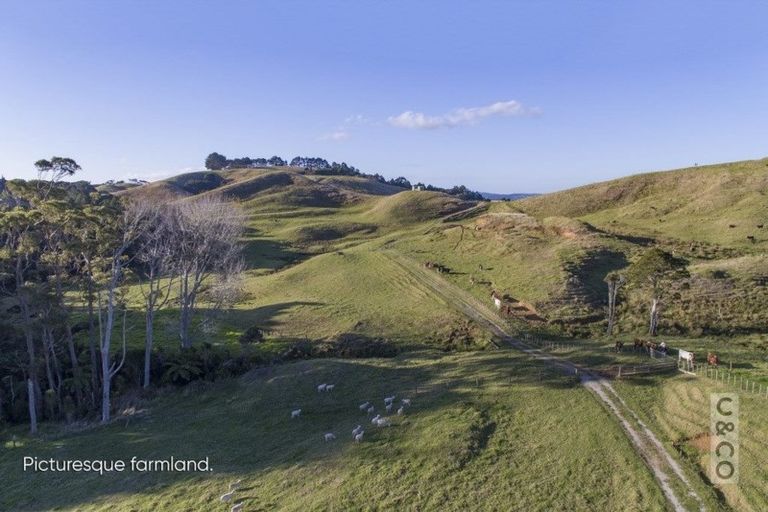 Photo of property in 208 Valley Road, Mangapapa, Gisborne, 4010
