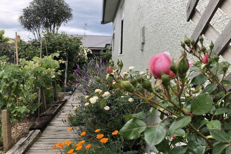 Photo of property in 16 Walshs Road, Allenton, Ashburton, 7700