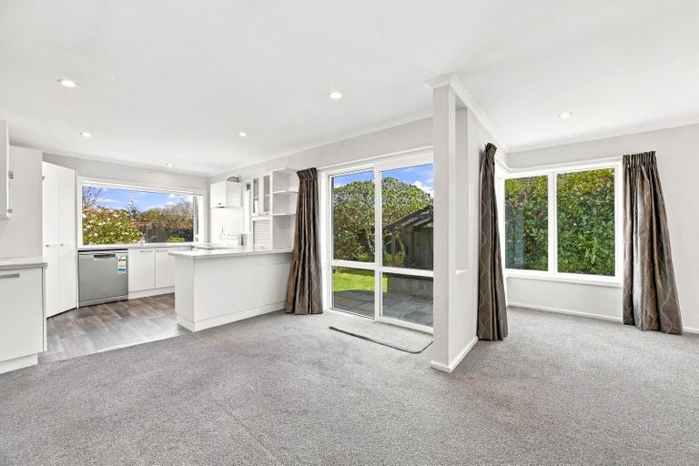 Photo of property in 19 Kinnaird Place, Hillmorton, Christchurch, 8025